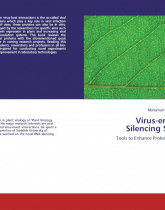 Virus encoded RNA Silencing Suppressors; Tools to Enhance Protein Expression in Plants