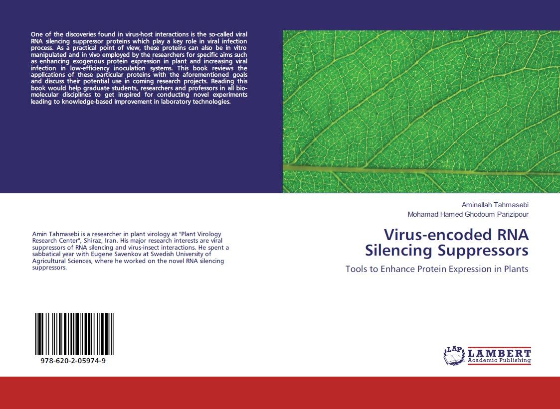 Virus encoded RNA Silencing Suppressors; Tools to Enhance Protein Expression in Plants