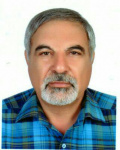Mohammad Amin